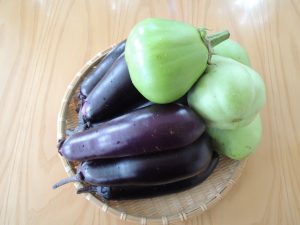 自然農　竹　茄子 のコピー